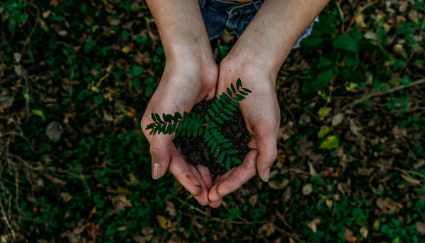 Les fondements des soins d’une beauté Upcyclée